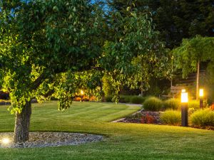 Expert Outdoor Lighting Installation in Georgetown, TX